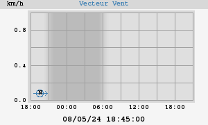 Wind Vector