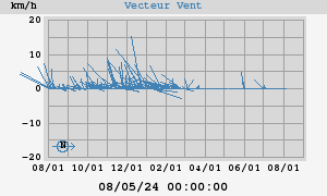 Wind Vector